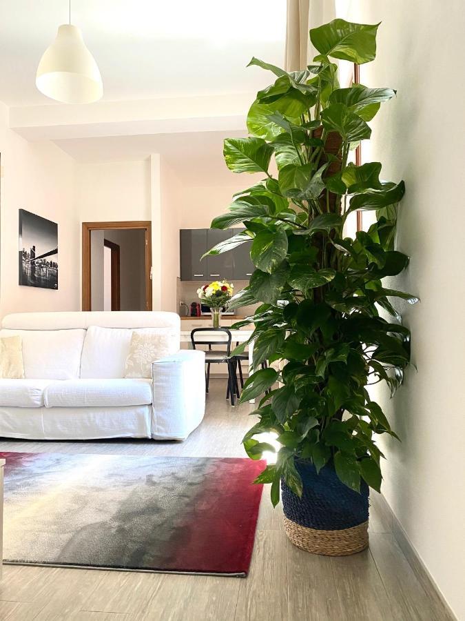 Delonix Regia Apartment